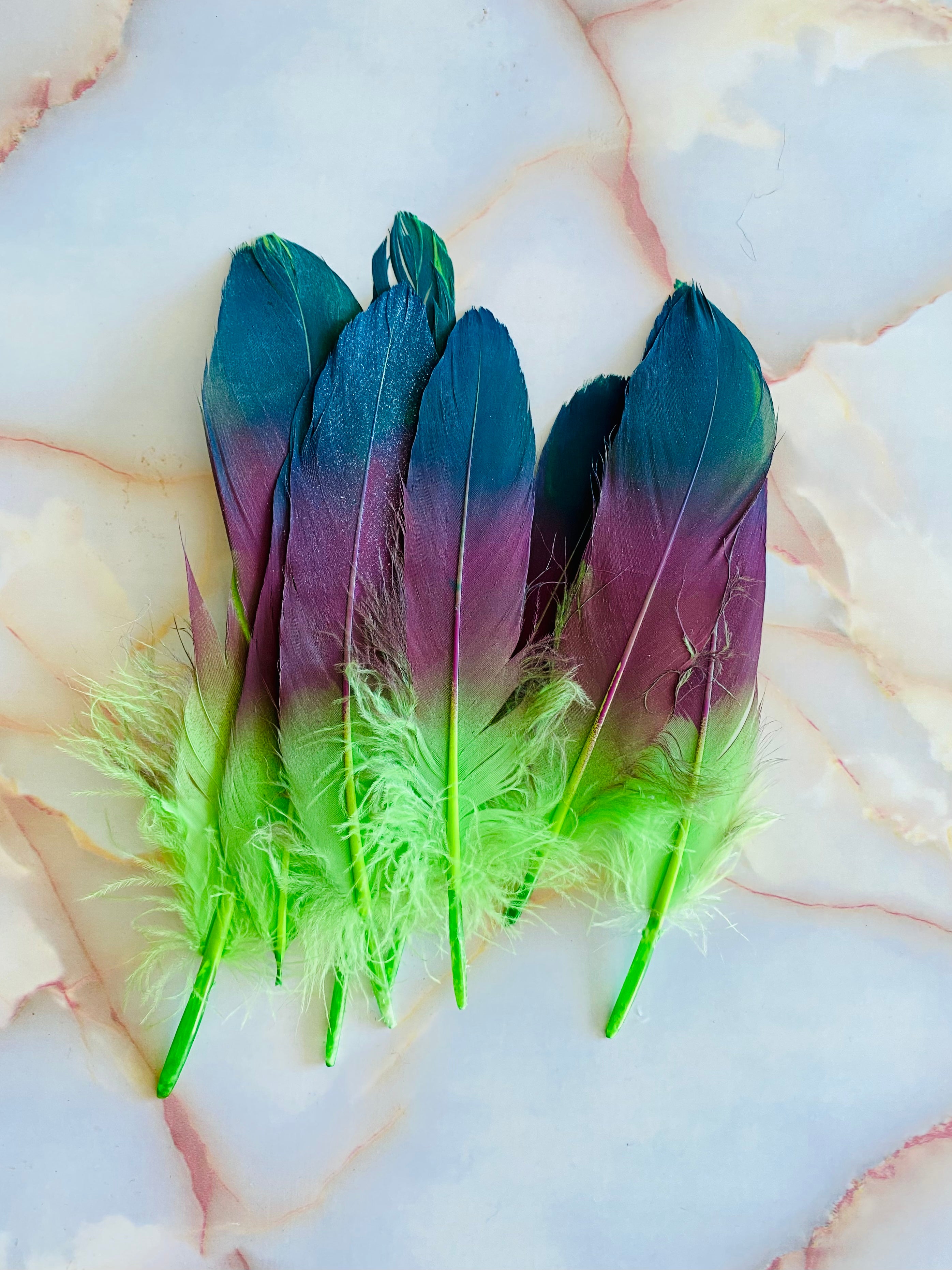dark green feathers